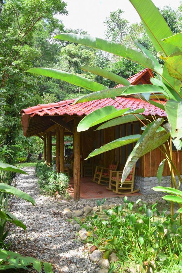 Esquinas Rainforest Lodge Golfito Exterior photo