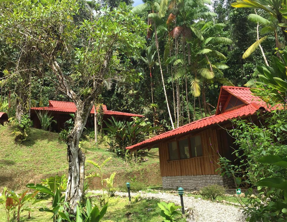 Esquinas Rainforest Lodge Golfito Exterior photo
