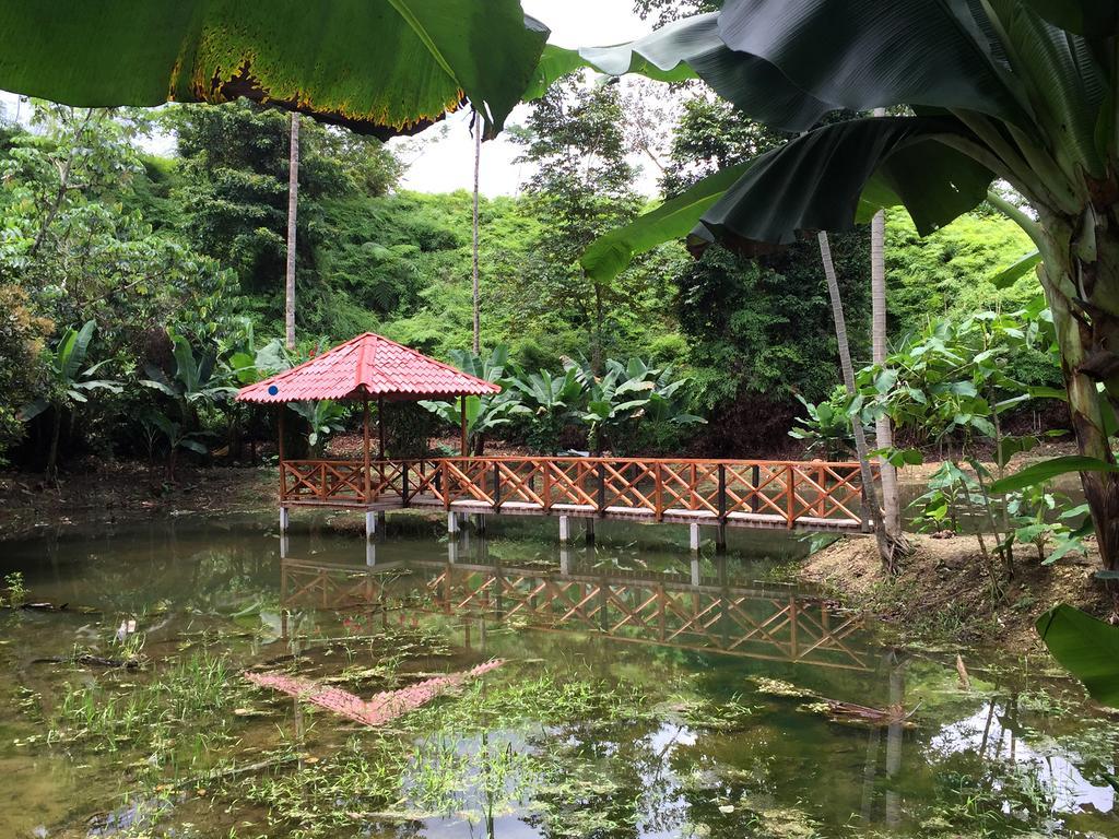 Esquinas Rainforest Lodge Golfito Exterior photo