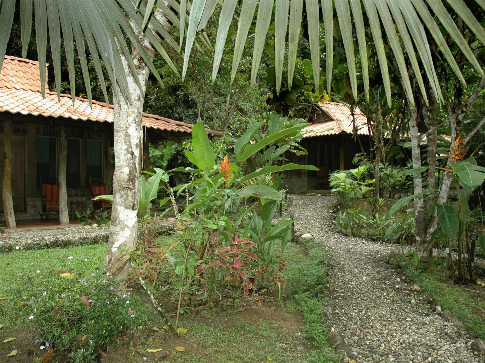 Esquinas Rainforest Lodge Golfito Exterior photo