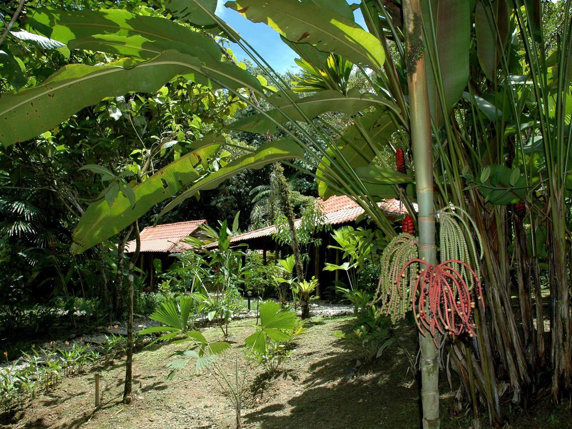 Esquinas Rainforest Lodge Golfito Exterior photo